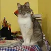 Отзыв от Лена Руднева